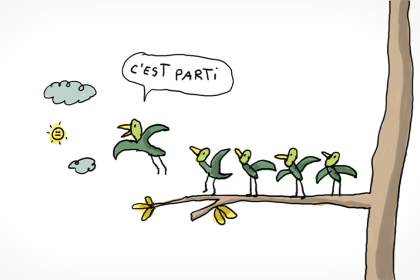 Des oiseaux prennent leur envole depuis la branche d'un arbre. Le premier dit "c'est parti".