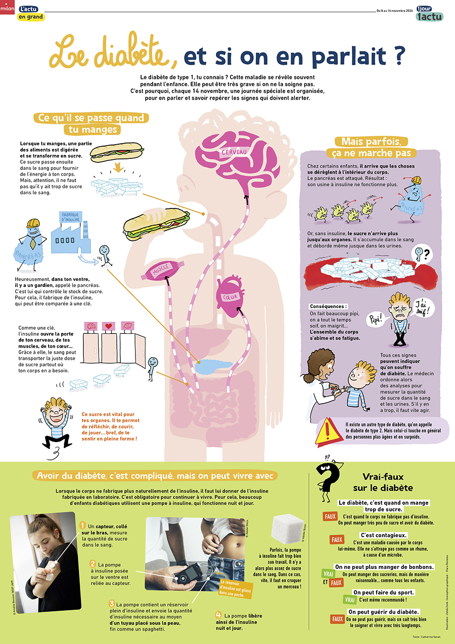 Un grand article qui explique ce qu'il se passe quand on a un diabète de type 1.