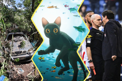 Image composée de 3 photos. À gauche : une voiture recouverte de végétation arrachée suite au cyclone Garance à La Réunion. Au centre : le chat du film Flow nageant sous l'eau au milieu des poissons. À droite : une photo de l'entraineur Paulo Fonseco quand il a menacé front contre front l'arbitre.