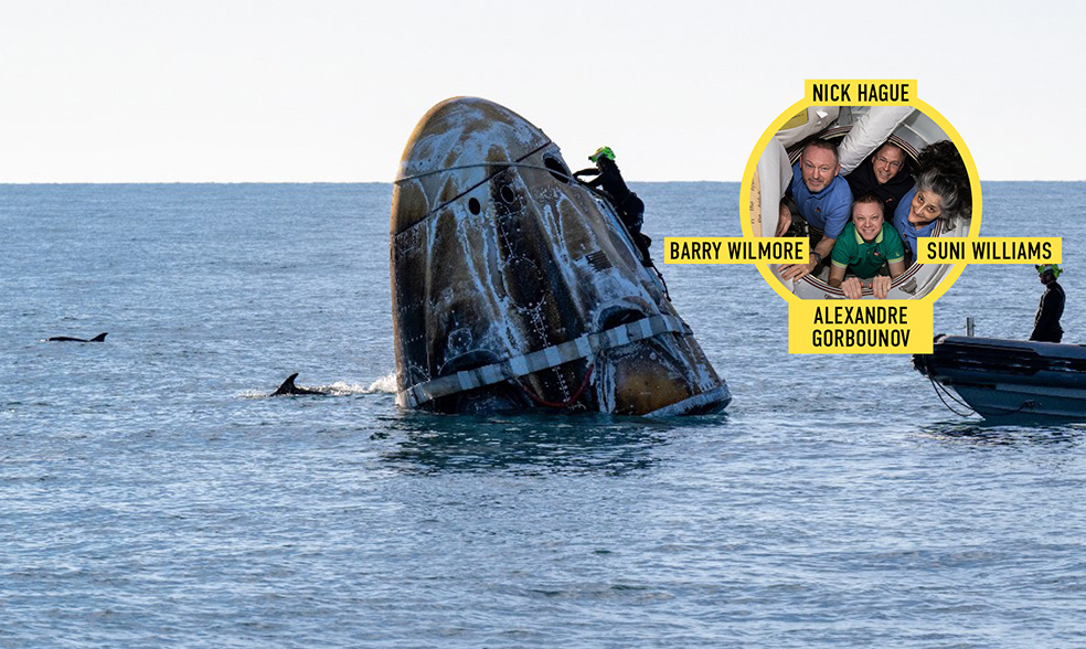 photo de la cpasule Crew Dragon dans la mer. Deux dauphins nagent autour. Une personne est en train d'ouvrir la capsule depuis l'extérieur.